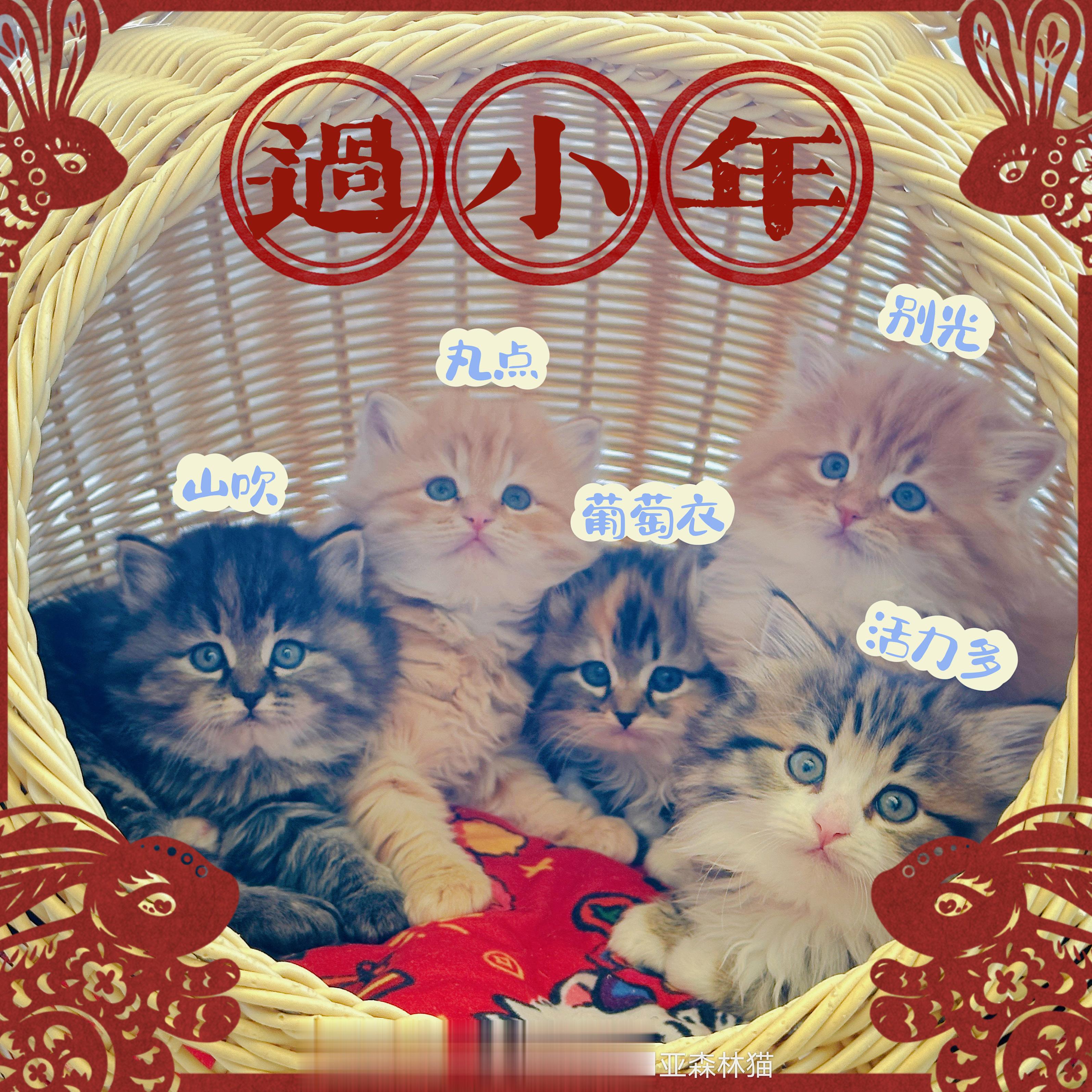 过小年，迎大年，幸福一年又一年
