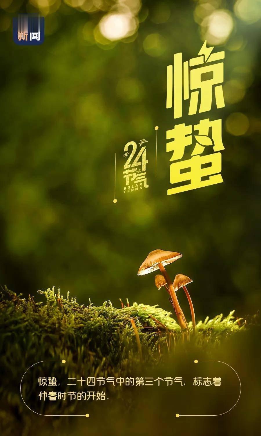 今日#惊蛰#万物生发，正是调整身体机能好时机惊蛰意为：春雷始鸣，惊醒蛰伏于地下冬