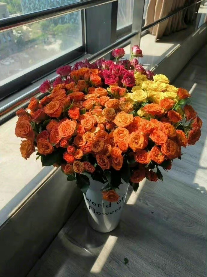  人不犯我，我不犯人；人若犯我，我就生气。 ​​​