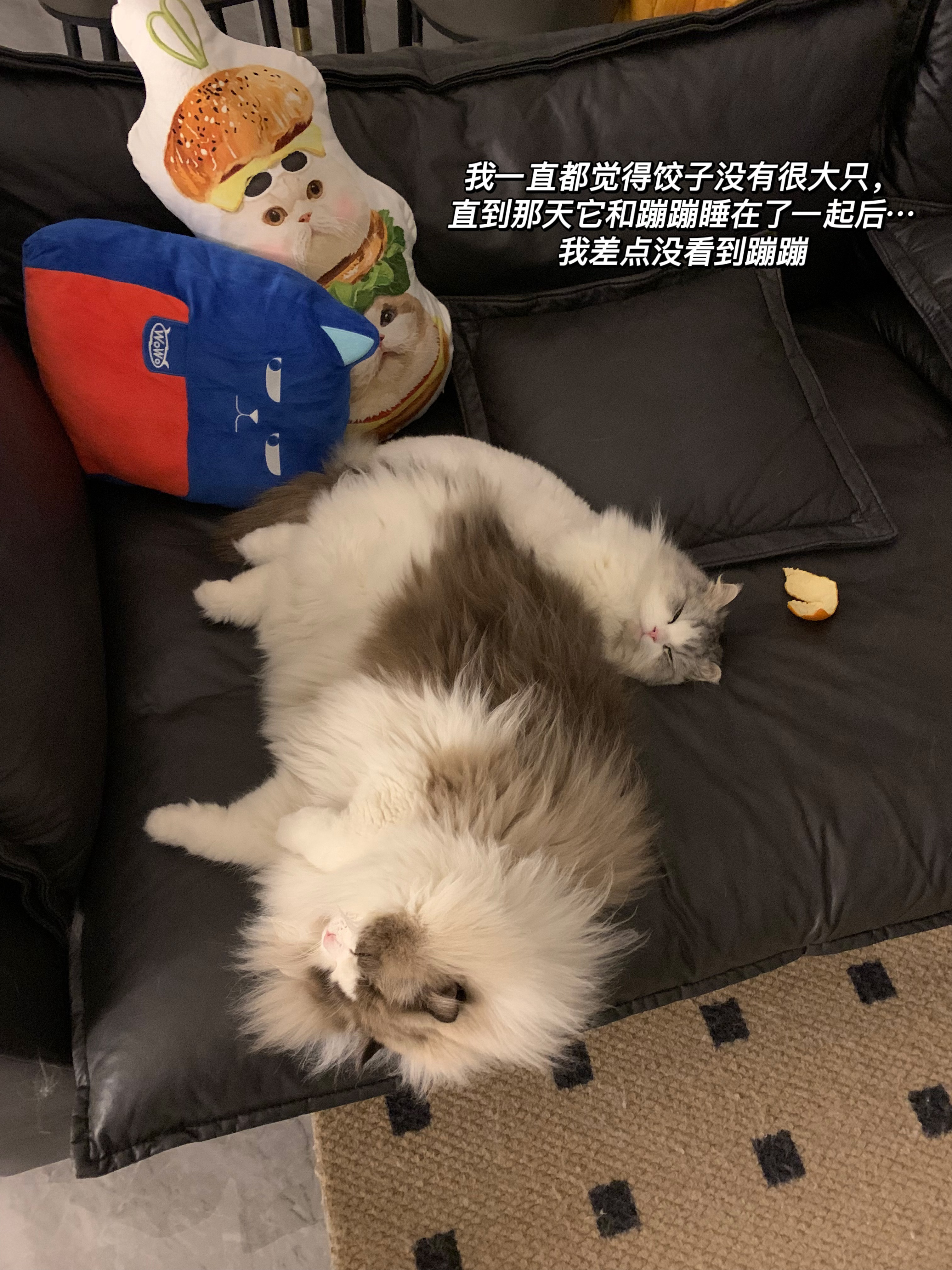 最近~ ​​​