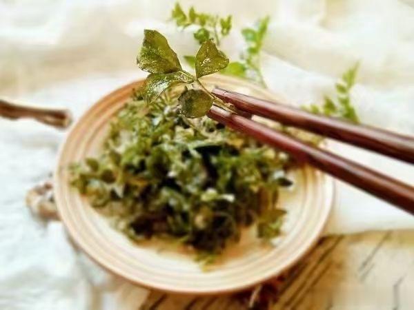 #国医的精诚力量##每天一味中草药# 香脆花椒叶功效:温中散寒，芳香醒脾材 料：