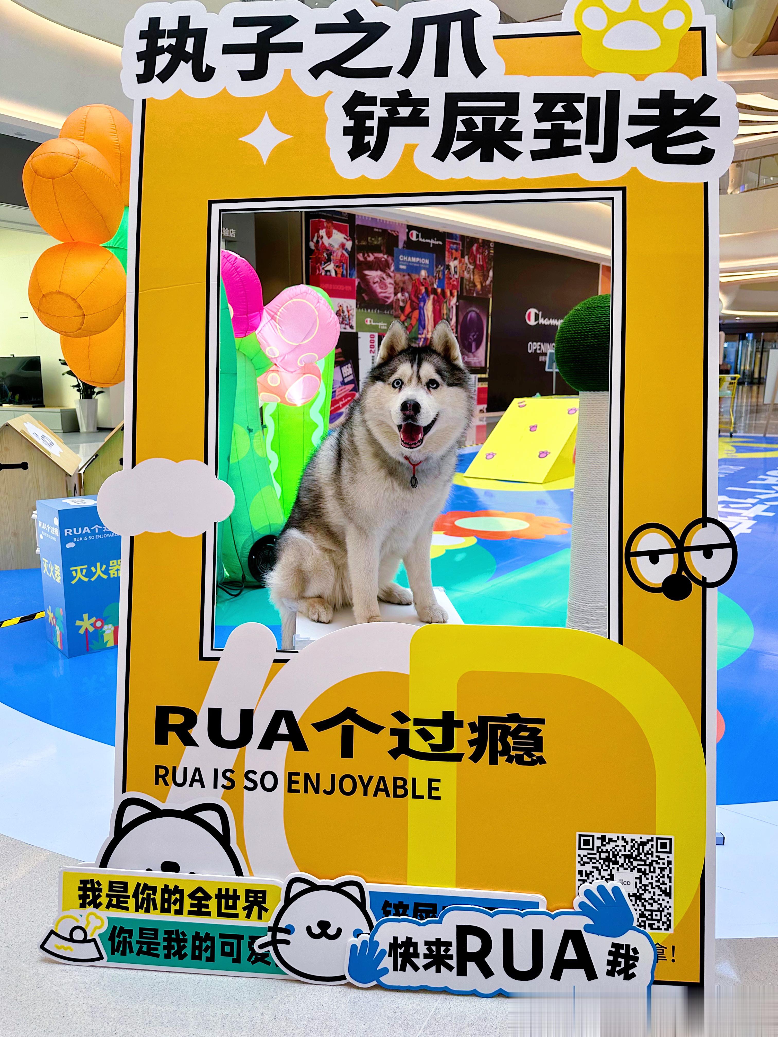  今天进城玩的灰灰玩累了这小背影，看着就想rua ​​​