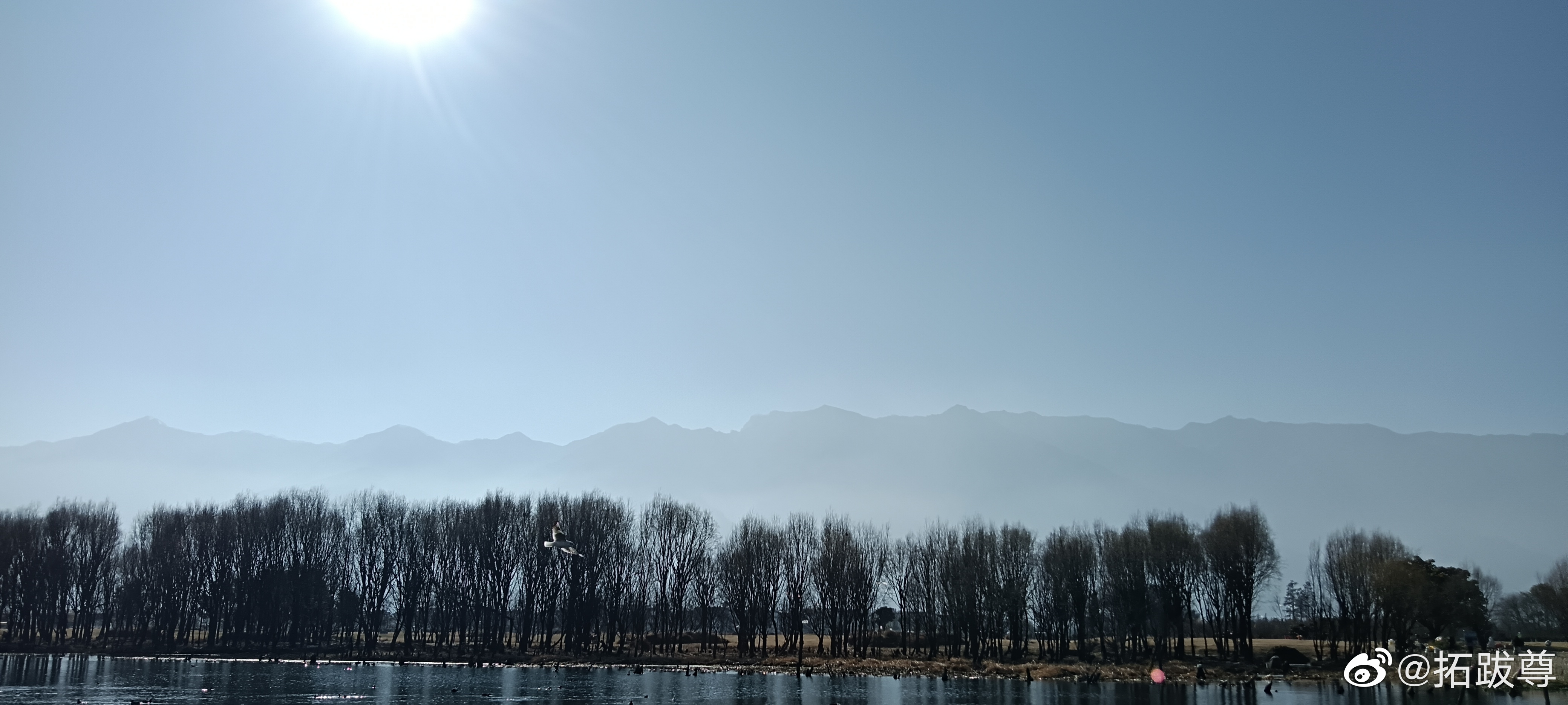 山水间 ​​​