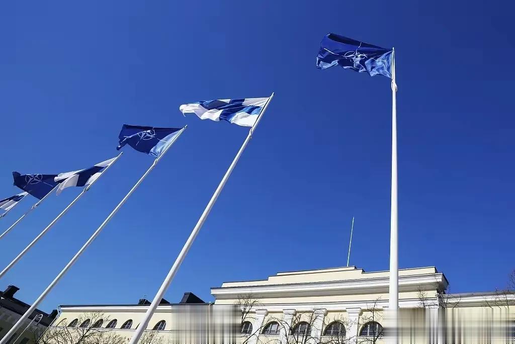 这意味着北约又一次“北扩” 的开始。接下来，还会有第32个吗？我相信会有的，而且