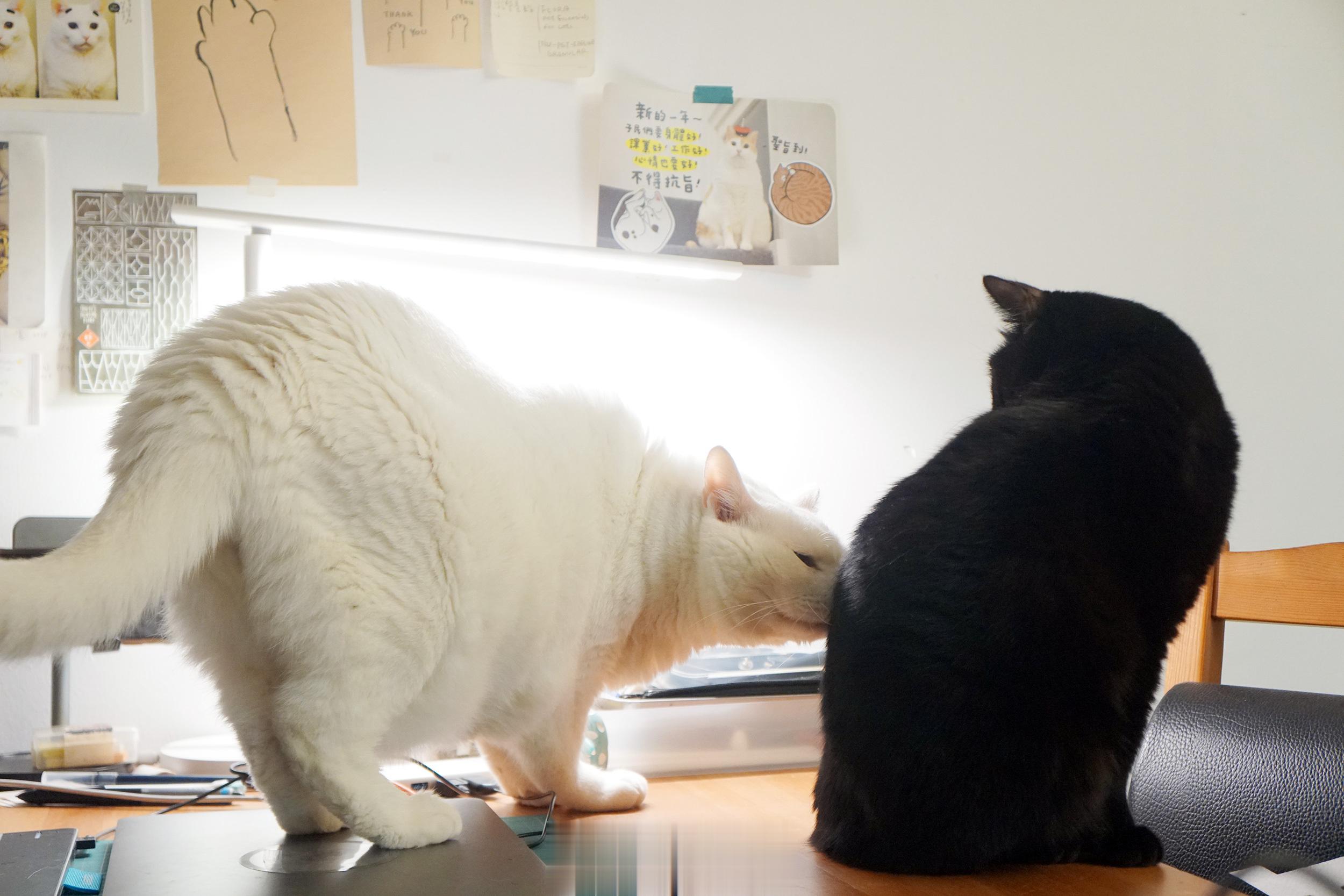 蝦味～😌 ​​​