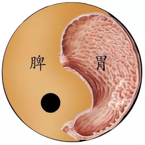 分享一个复诊案例，这个孩子跟着我做了半年的身高管理，脾胃调理好了，孩子半年蹿了7