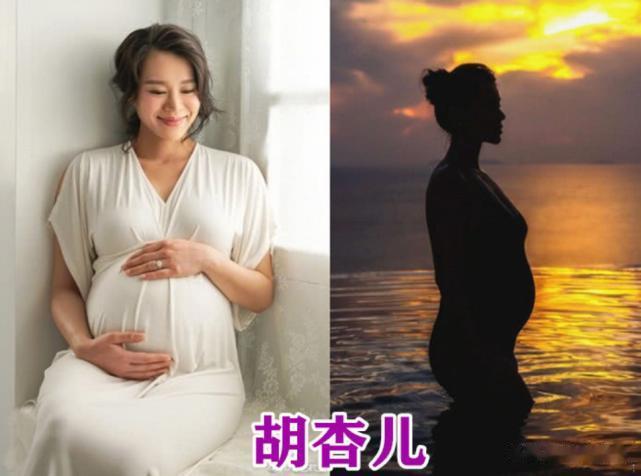胡杏儿的孕照，刘诗诗的孕照，安以轩的孕照，看到杨颖：美的像没怀孕！
哈喽！大家好
