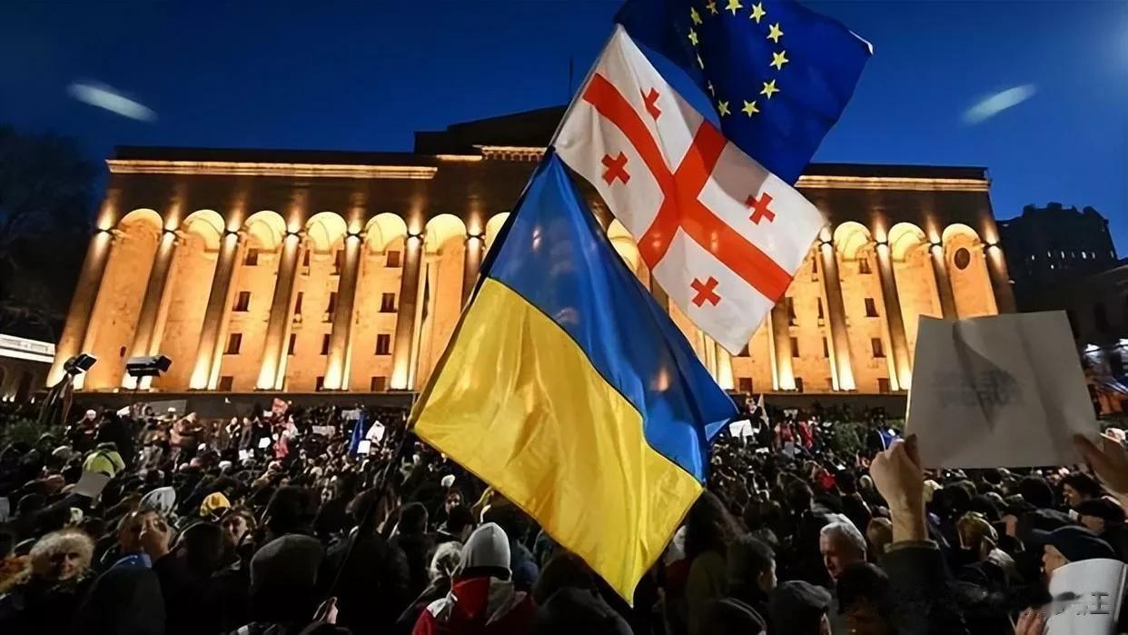 反俄不彻底就是彻底不反俄？坚定亲美的格鲁吉亚，终于爆发大规模骚乱  

来源:海