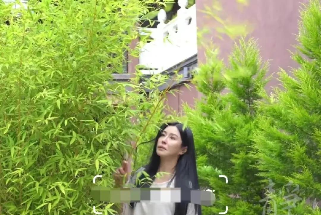王祖贤现身寺庙烧香被拍！

近日，有网友在加拿大某寺庙内再次偶遇了女神王祖贤，她