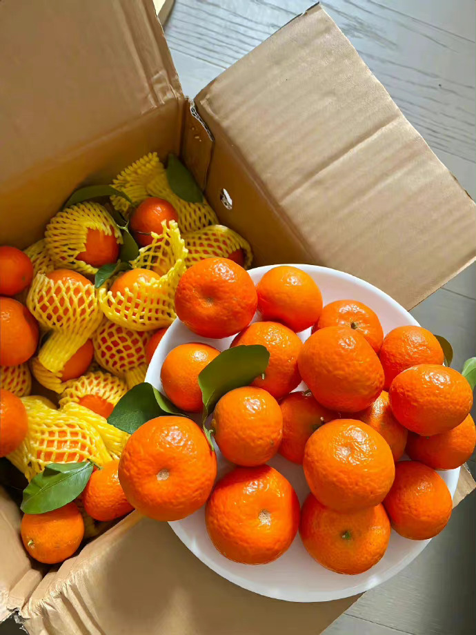  “长路漫漫，终有归途，这路遥马急的人间，你我平安就好。” ​​​