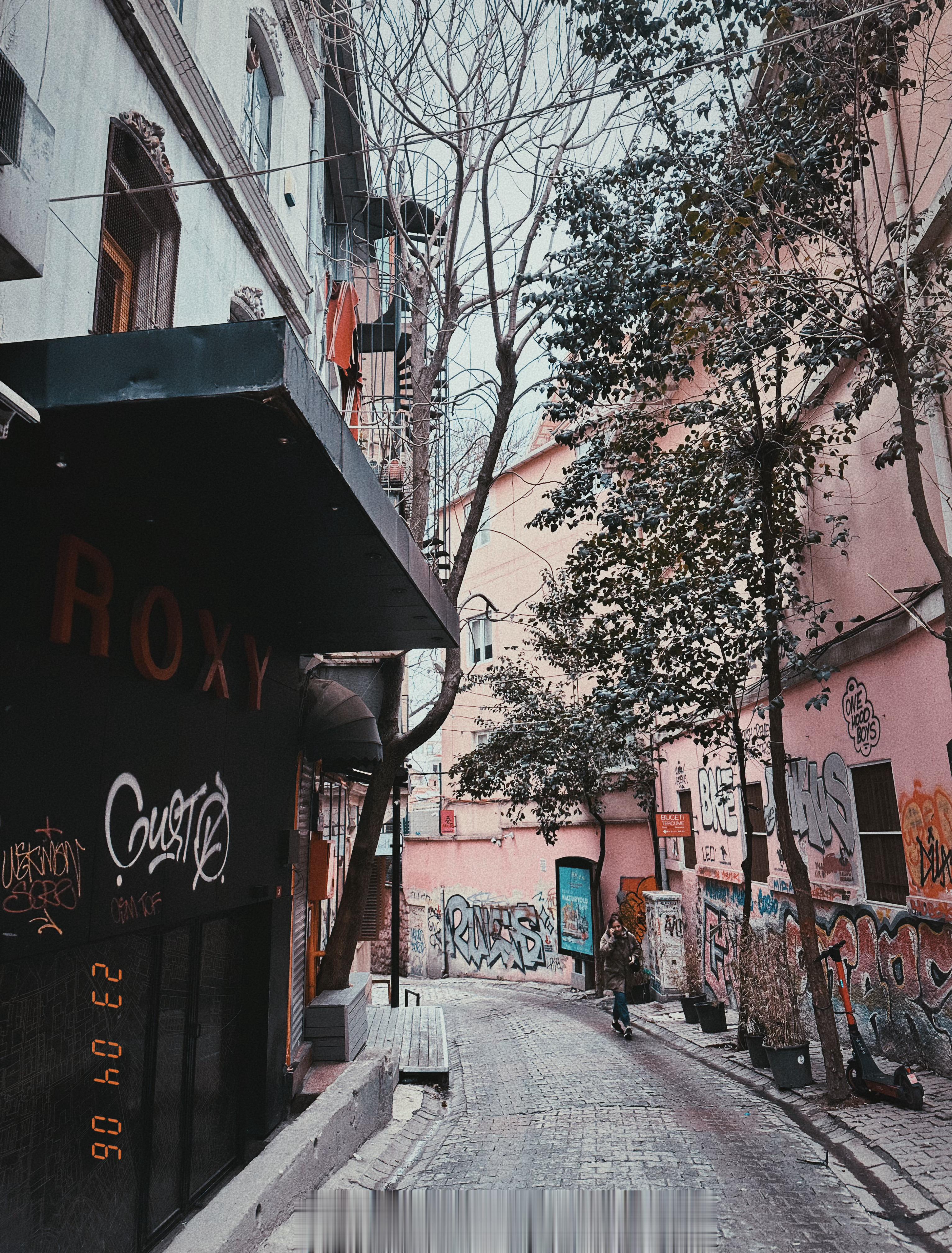 路过一条粉色涂鸦墙壁的街/蓝色清真寺/蓝色清真寺附近的一个漂亮绿色小房子🏠/圣