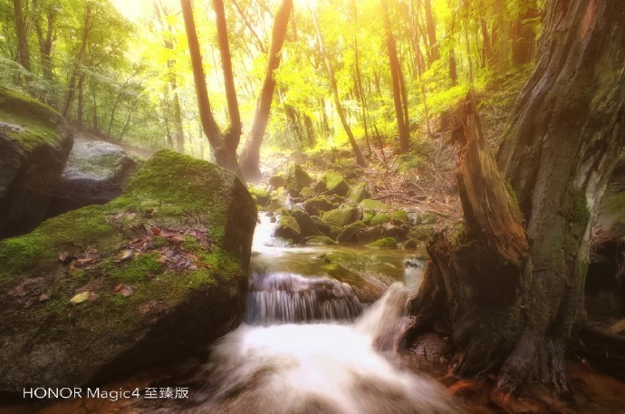 最近拍摄的一组《绿野仙踪》，今年辽宁的雨水特别多，山间的溪流水量充沛，特别是雨后