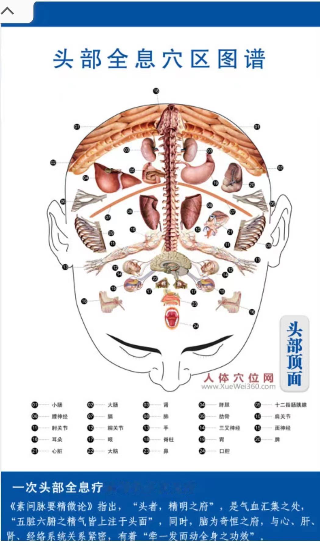 头部刮痧用于偏头痛及脱发
      当今社会，不明原因出现偏头痛、头晕及脱发的