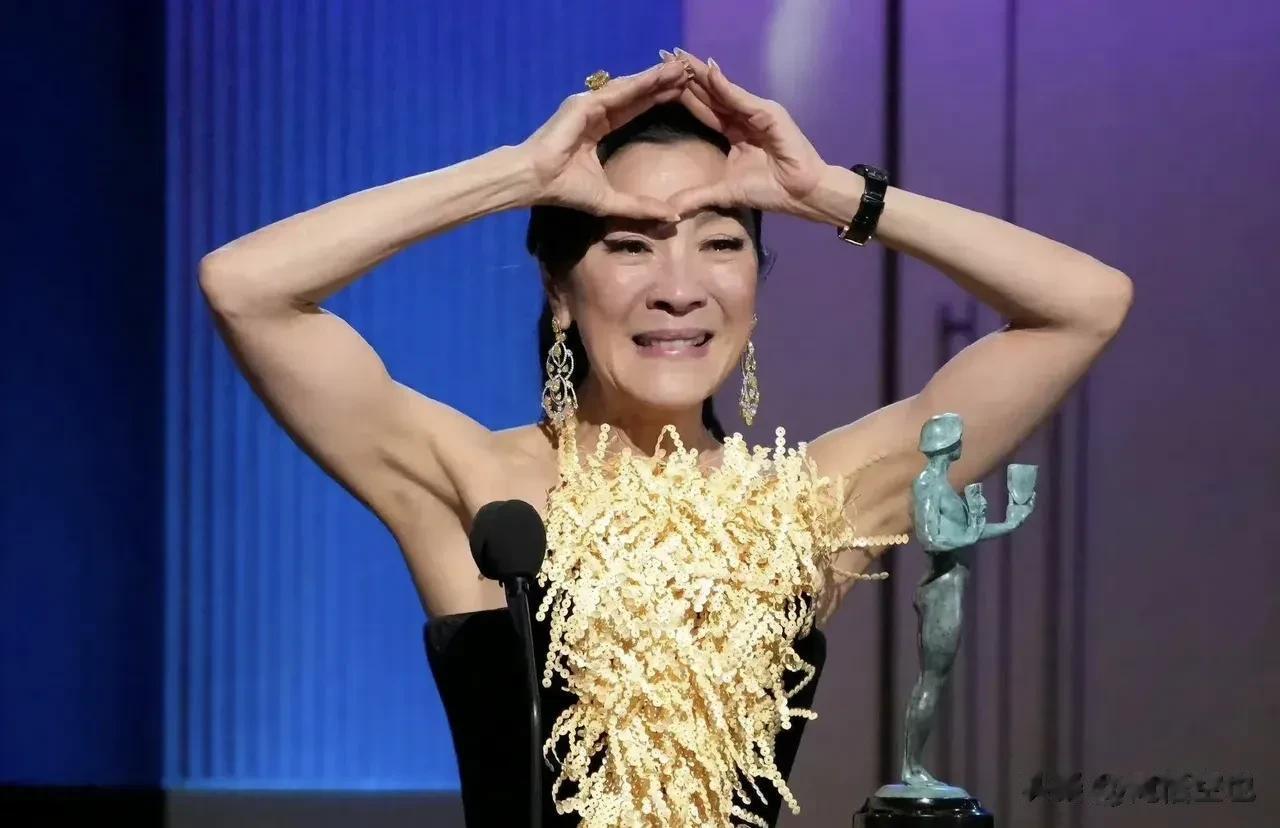虽然为杨紫琼凭借《瞬息全宇宙》获得奥斯卡最佳女主高兴，但大家也不要开心过头了，为