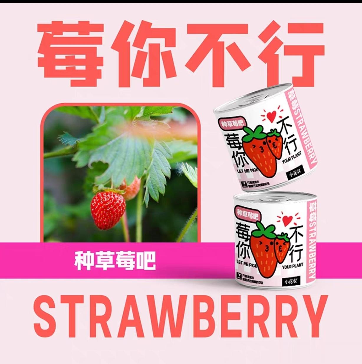 #邓伦# 首页好多姐妹都开始种花了[送花花][送花花][送花花]我还没有呢[可爱