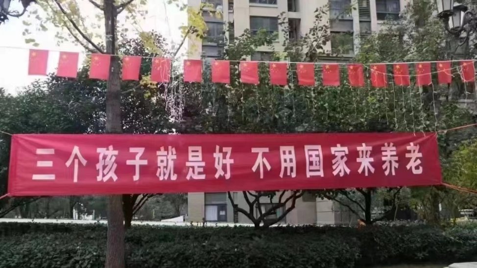 您说的对 ​​​