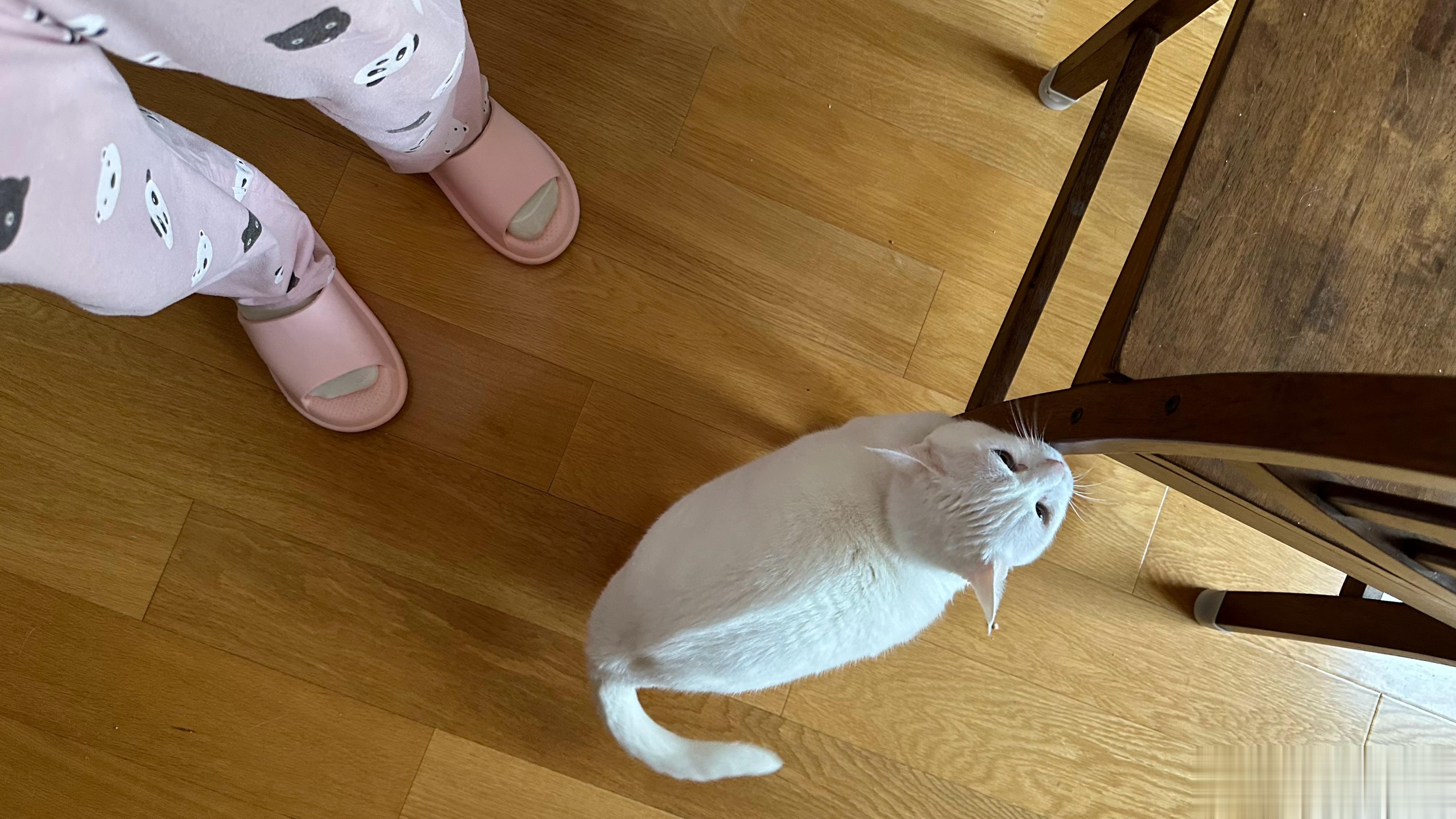  早 ​​​