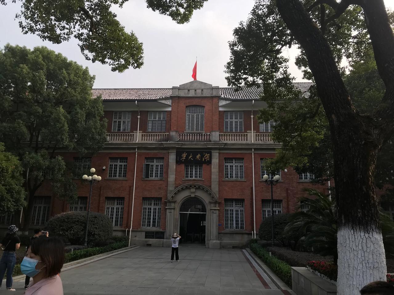  岳麓山上很多树干死了，好可惜