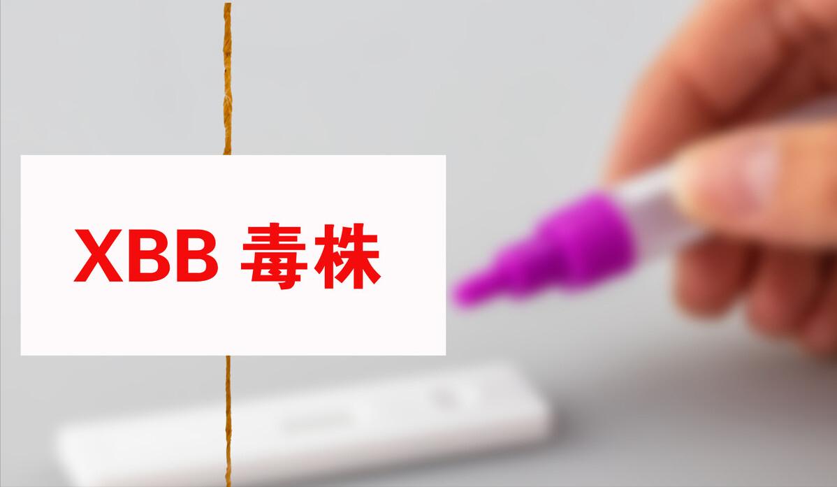 
在我们疫情高峰刚刚过峰的时候，几种国外流行的新冠变异株包括地狱犬、XBB在网络