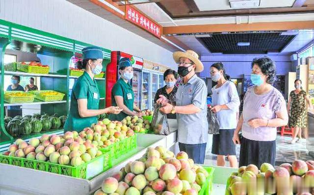 水果郡一棵苹果树最多结５００个果，你家的园子也能结这么多吗？

今天，朝鲜水果郡