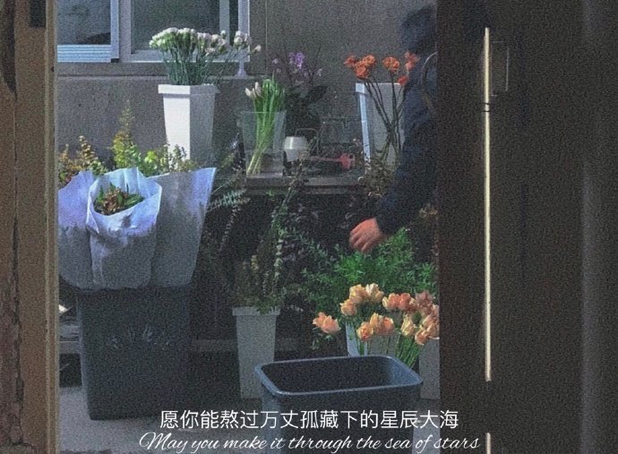  禁止做夜晚心碎小狗 ​​​