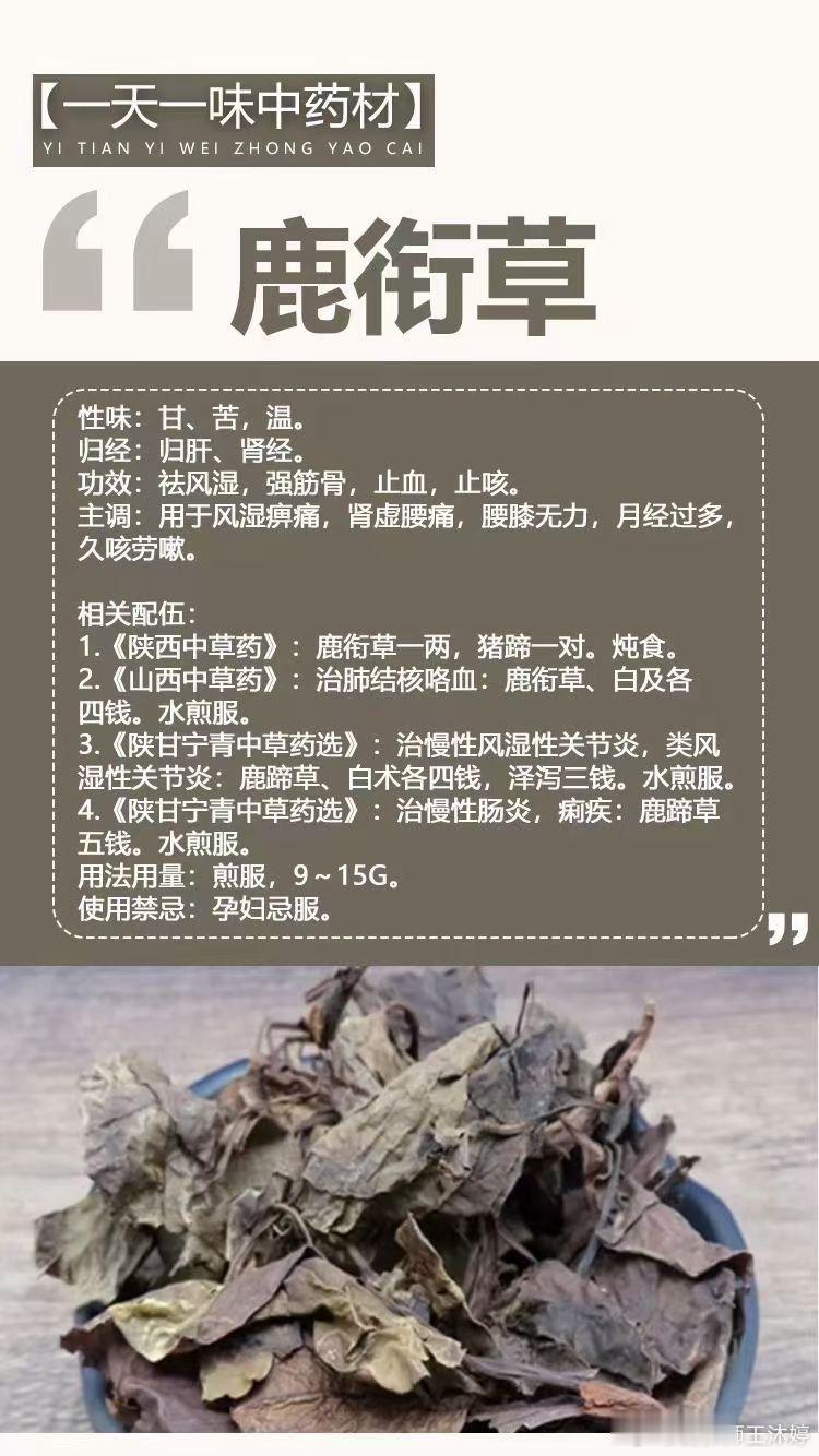 #国医的精诚力量##每天一味中草药# 🌿【一天一味中药材】🌿      ～鹿