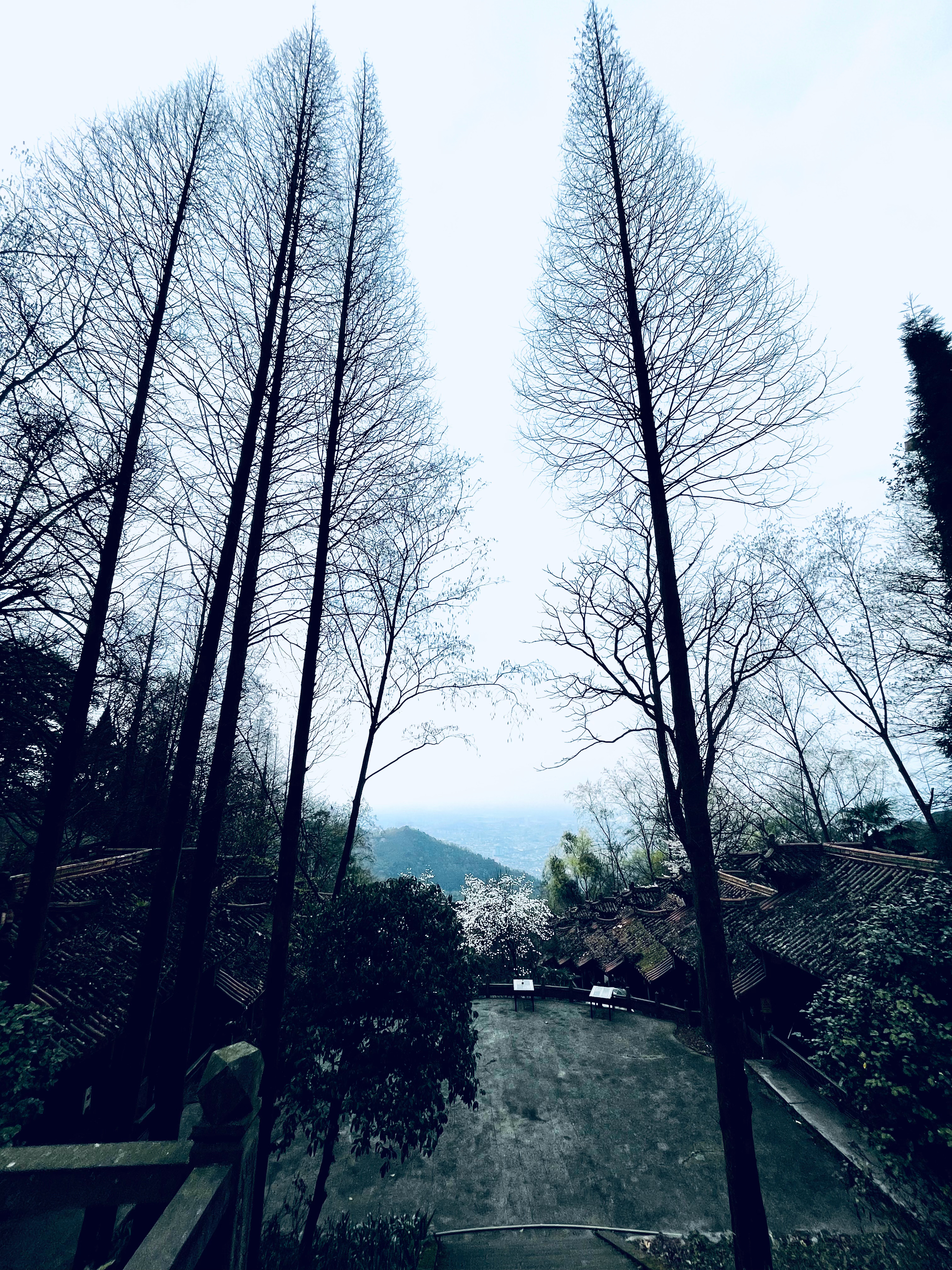 空山遇古寺  ​​​