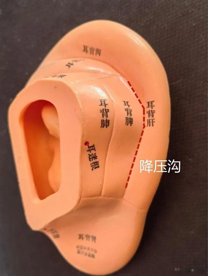 立春以后草木繁动，人体内肝气也进一步升发，中老年高血压患者多出现血压不稳，和入睡