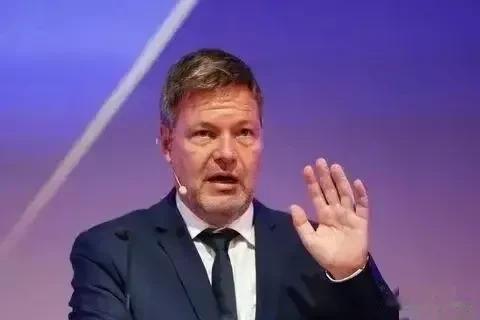 德国副总理哈贝克称：德国政府应该对那些通过其他国家经商来规避欧盟对俄制裁的德国公