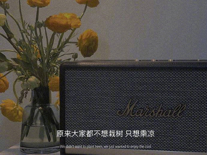  生活一定是要把压轴的好运留给你，现在才会让你经历一段糟糕的日子。 ​​​