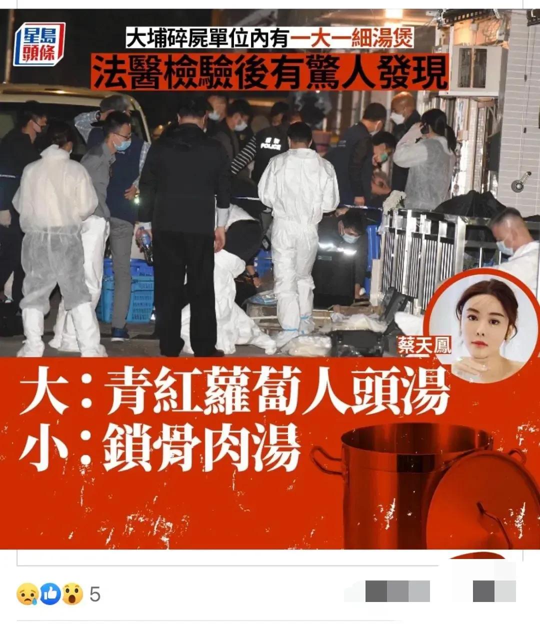 蔡天凤的头颅是在煲汤锅里找到的，现场有一大一小砂锅，大的煲青红萝卜人头汤，小的是