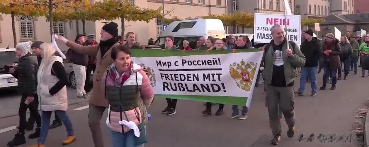 德国《明镜周刊》所做的一项民意