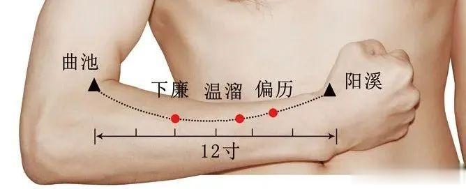 手臂藏着一个穴，专治结节、囊肿和包块，却很少有人知道！[good]来源：穴位密码