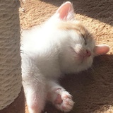 趋势投资波段操作