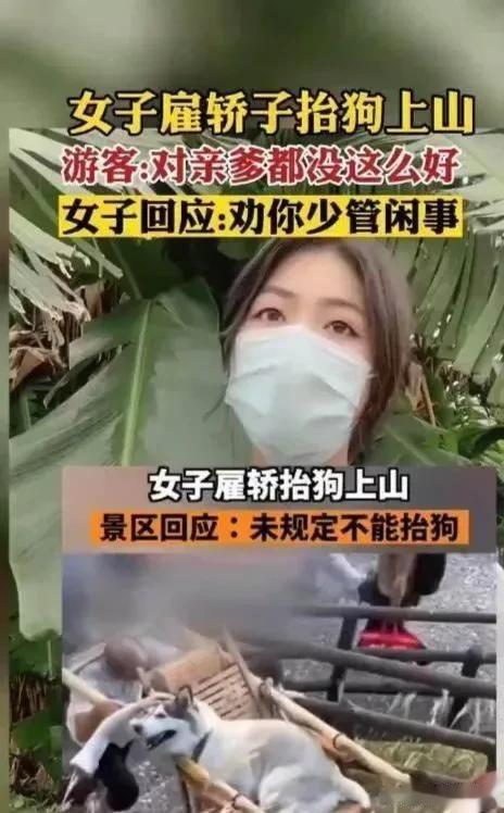 女子雇轿子抬狗上山被吐槽[捂脸]这事狗主人高兴，轿夫高兴，狗也高兴。只有一群网友