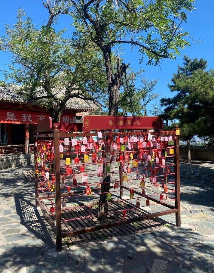 <p>现在的年轻人啊。。。 ​