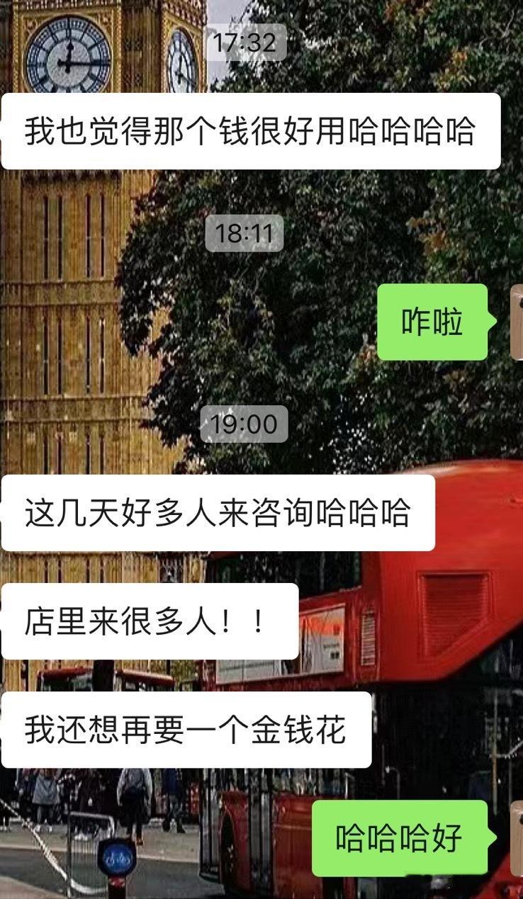  金钱花！普适性很强！ ​​​
