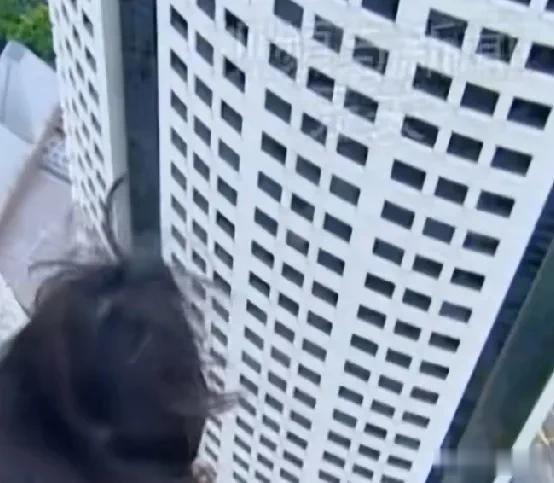 

人类的感情本来就存在着漂浮性。

所谓漂浮性，就是它会随着时间和空间的变化，