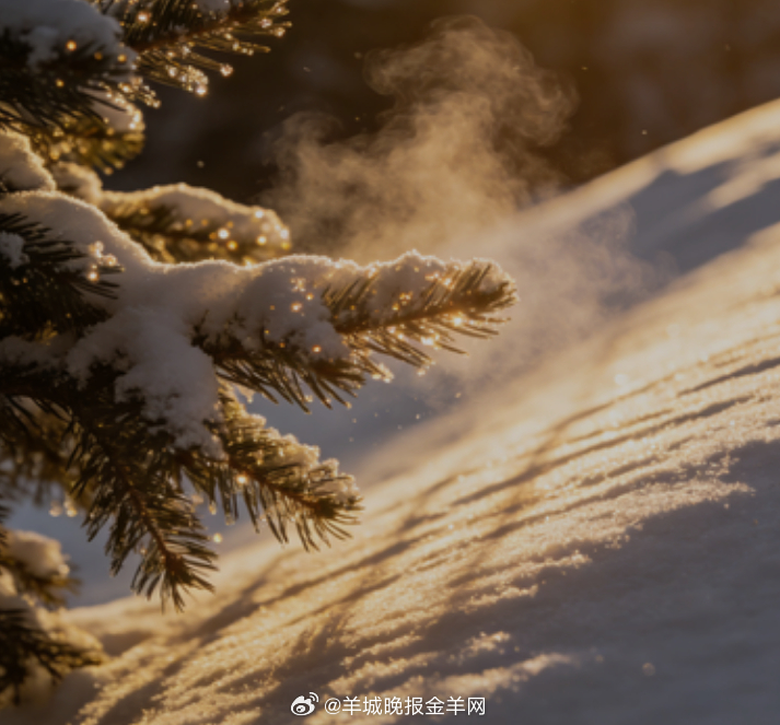 早安 冬阳漫过雪坡，松枝上的雪粒闪着微光，呼一口白气，新的一天要揣着暖意前行呀。