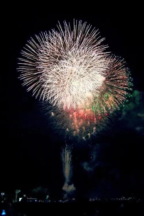 春节到，放烟花。各种烟花🎆小集锦。来年好运连连。
