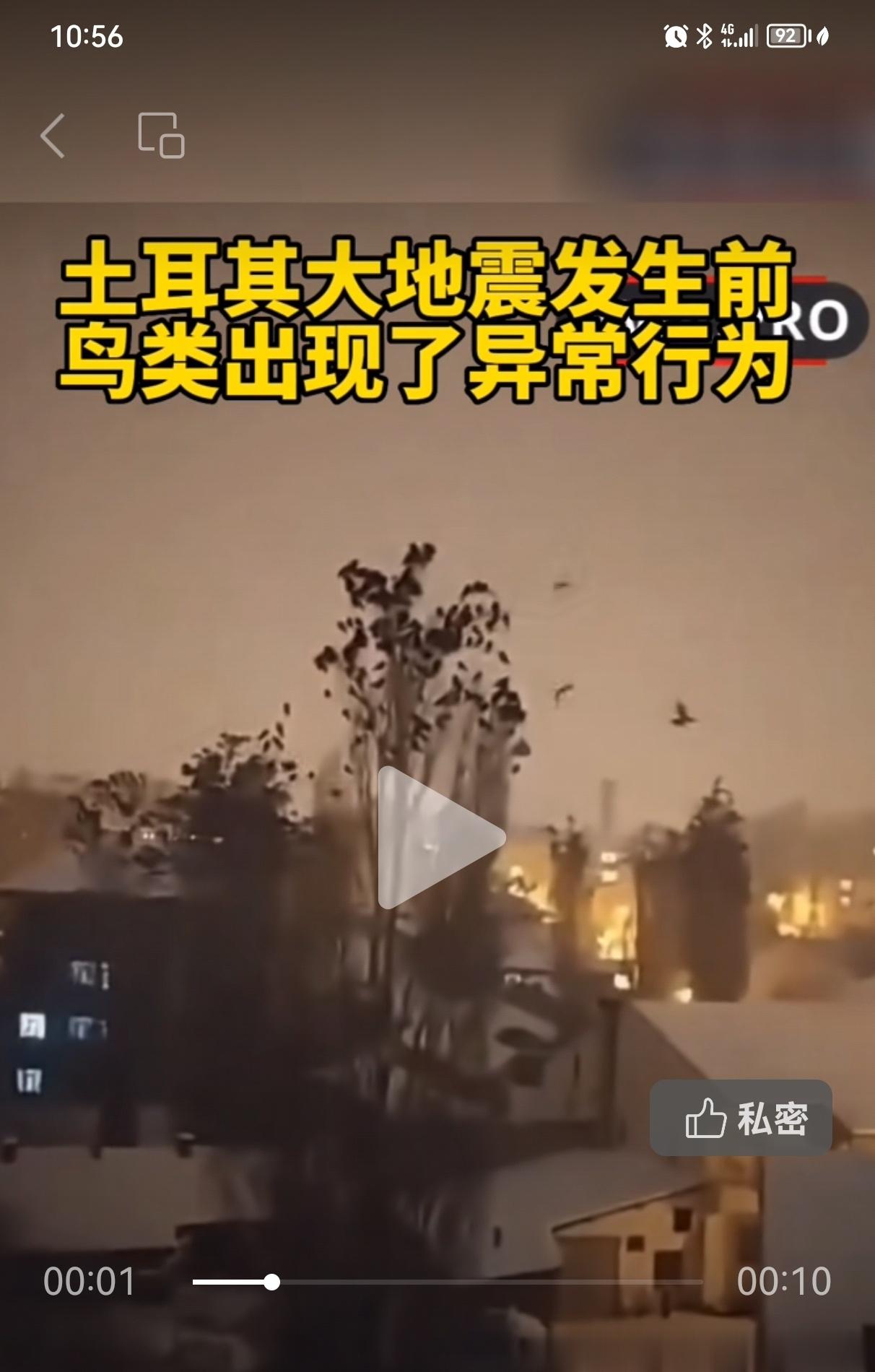 #张捷聊科技# 动物的异常行为为啥不作地震预报？原因就是它与地震的关系，既不是充