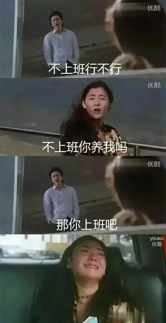 你养我吗