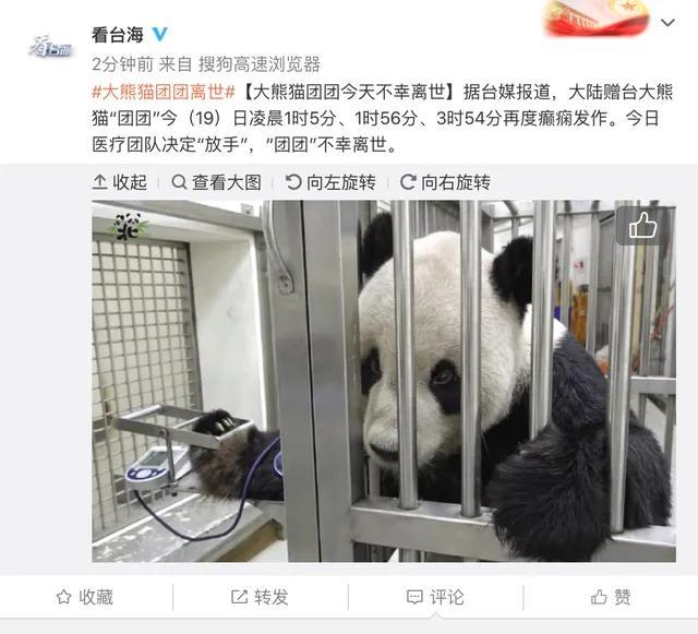 马英九执政时期，两岸关系相向而行。2008年大陆赠送台湾一对大熊猫，即“团团”和