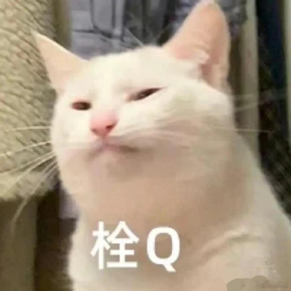  不得不说，上天和他开了一个巨大的玩笑，去过这个人因此一蹶不振，那太不值得了 ​