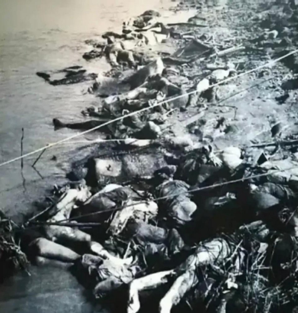 这是一位外国记者在抗日战争时期拍摄到的南京大屠杀的惨烈场景。从这张照片来看，遇难