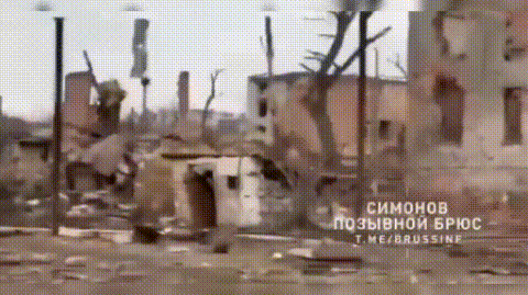 网络上经常看到为俄乌战争摇旗呐