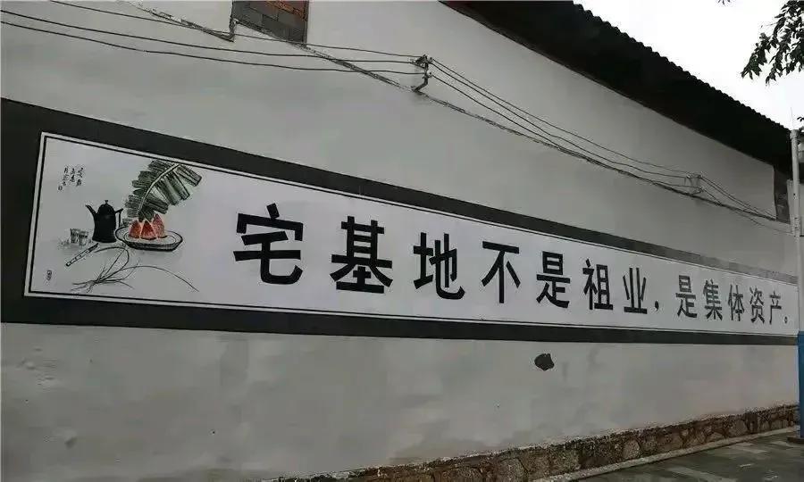 宅基地不是祖业，是集体资产！这是一个村里的标语。
村里能刷标语说明地方政府要出台