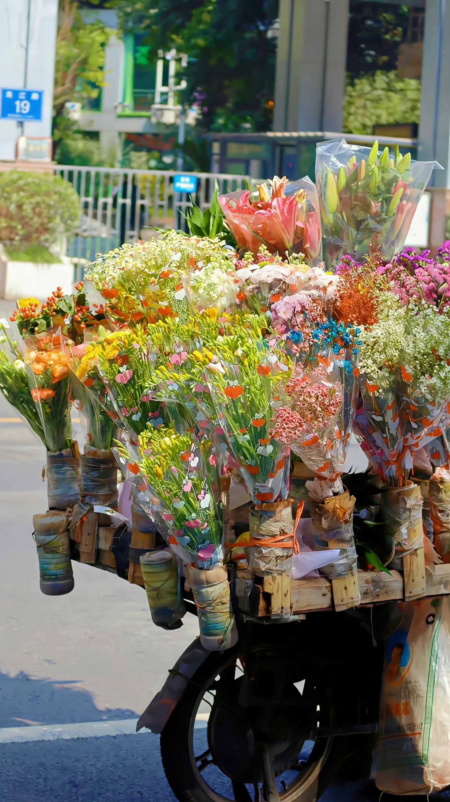  喜欢三月，喜欢你，你和三月都是春天。——纪嫚 ​​​