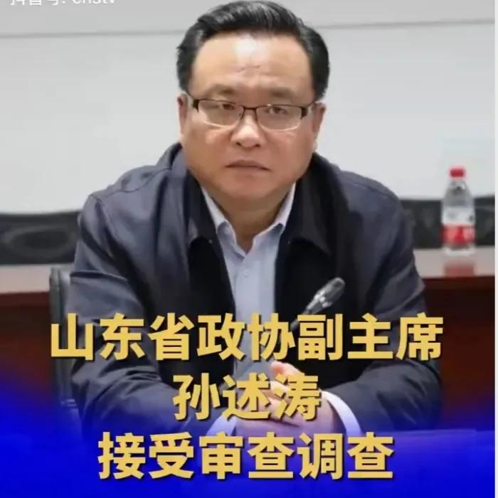 严力打查两只大老虎
法网恢恢，疏而不漏！
一定要严查，对违纪违法的，必须严惩不贷