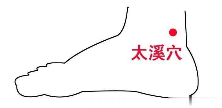 【揉一次脚，胜泡十次脚】中医认为，脚与人体的五脏六腑、四肢百骸都有极为密切的关联